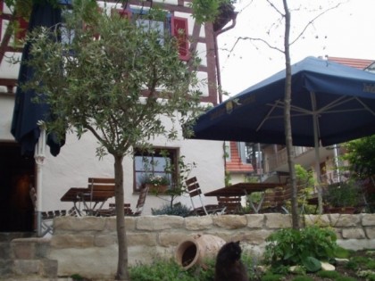 照片: Taverne Olivenbaum
